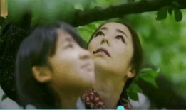 青梅电影在线观看,重温青春记忆，共赴光影之旅