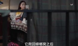 李玫姐姐爆料视频在线观看,揭秘事件背后真相