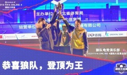 爆料狼队打假赛视频大全,一场足球界的悬疑大剧