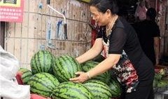 东北网红吃瓜群众事件真相,揭秘背后真相与争议