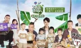 爸爸去哪儿在线观看全集,温馨亲子时光，回忆满满的家庭旅行记