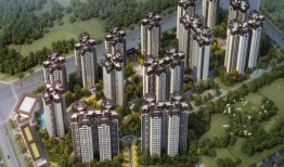 仪陇恒骏府爆料事件最新,揭秘背后真相与争议