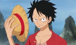 路飞爆料身世视频合集在线观看,揭秘海贼王世界的惊天秘密