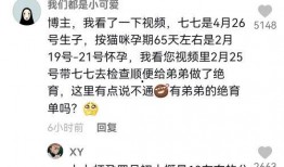 娱乐吃瓜的博主是谁啊视频,揭秘热门视频背后的神秘人物