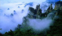 天涯爆料张家界事件视频,真相与疑云交织