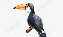 乌鸦最新爆料图片高清,高清图片揭示惊人内幕