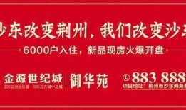 资阳摆摊爆料今日新闻最新消息,摆摊爆料，最新民生资讯速递