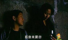 萍果电影在线观看1,畅享影视盛宴的便捷之旅