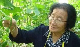 娱乐吃瓜菌8个陌生人,八位神秘嘉宾的跨界狂欢之夜