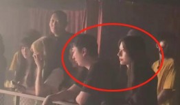 网红吃瓜免费爆料合集视频,免费爆料合集视频大揭秘