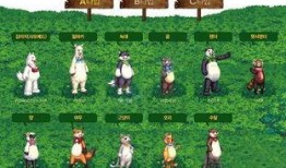 dnf夏日礼包2022最新爆料
