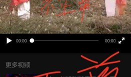 乌兰爆料视频大全下载免费,揭秘幕后真相，免费下载一网打尽