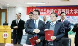 广西特大新闻爆料事件,揭秘背后真相与影响