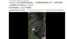怎么看朋友发的爆料视频,深度解析朋友爆料视频背后的故事
