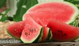 西藏网红吃瓜入口