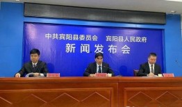 宾阳新闻爆料,揭秘当地热点事件背后的真相