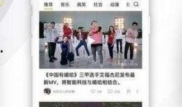 不地道爆料视频大全,视频大全背后的真相与内幕