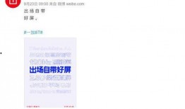 智尚捷付最新消息爆料,揭秘支付新动态与行业变革趋势