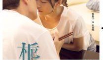 栀子花开2017电视剧在线观看,青春校园的浪漫旋律