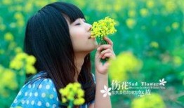 伤花在线观看,揭开情感纠葛的悲美画卷