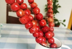 地摊糖葫芦爆料视频教程,揭秘网红爆款小吃背后的制作秘诀