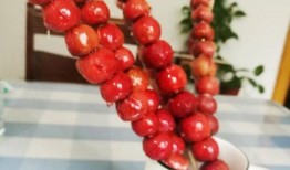 地摊糖葫芦爆料视频教程,揭秘网红爆款小吃背后的制作秘诀