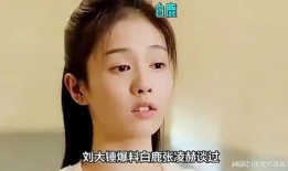 爆料娱乐圈白鹿,真相与争议交织