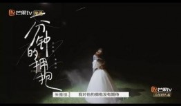 再见爱人爆料视频大全,揭秘视频爆料背后的情感纠葛