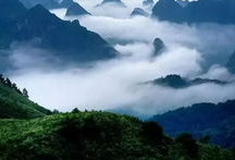 天涯爆料张家界事件视频,真相与疑云交织