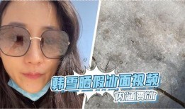 韩雪爆料贾冰视频播放大全,揭秘幕后真相