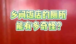 山东饭店爆料视频大全最新,揭秘幕后真相与精彩瞬间