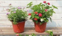 启海最近爆料新闻视频,最新爆料新闻视频深度解析