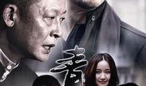 电视剧青瓷全集在线观看,揭秘古瓷传奇，探寻千年文化之谜