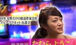 娱乐圈爆料贴纸,揭秘明星幕后真相