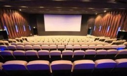 东莞电影院爆料新闻最新,最新爆料揭示惊心动魄一幕