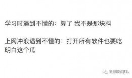 吃瓜儿媳知乎免费阅读,一场知乎免费阅读引发的全民热议