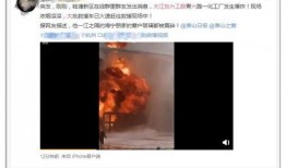 李婉君爆料视频播放,揭秘幕后真相