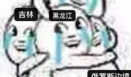 东北网红吃瓜群众事件真相,揭秘背后真相与争议