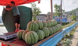 安海网红吃瓜事件,揭秘网络舆论背后的真相