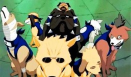 火影忍者帕克最新爆料2025