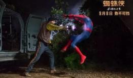 蜘蛛侠回归来在线观看,在线观影，英雄再起