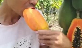 口水蛙吃瓜视频免费观看