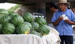 安海网红吃瓜事件,揭秘网络舆论背后的真相