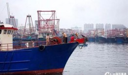 爆料渔船视频播放大全下载,渔船视频播放大全下载精选集锦