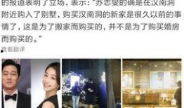 台媒爆料渣男事件视频,视频曝光惊人细节