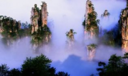 天涯爆料张家界事件视频,真相与疑云交织