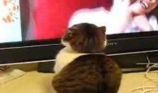 惊吓在线观看,揭秘惊悚瞬间，心跳加速的惊悚之旅