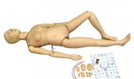 人体模型最新爆料图解说,科技与艺术的完美融合