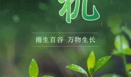 万物生长 在线观看,在线观看，探索生命奥秘之旅