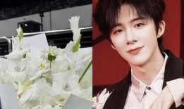 刘宇粉丝爆料视频大全,揭秘偶像幕后故事